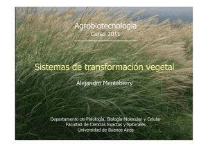 2011_5 Transformacion vegetal.pdf