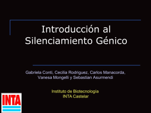 Clase Silenciamiento génico 2010.pdf