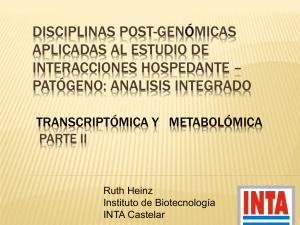Transcriptomica y Metabolómica II (1).pdf