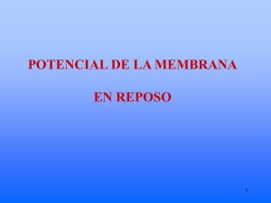 4. Potencial de Reposo y Propiedades Pasivas 2014.pdf