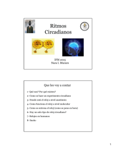 Teorica 18. Ritmos Circadianos IFM 2015 Muraro.pdf