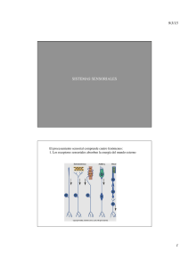 Teórica 8. Sistemas sensoriales I.pdf