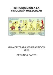 Guía tp segunda parte.pdf