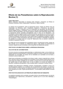 Efecto de los Parasitismos sobre la Reproducción Bovina (1)