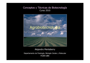 Mentaberry 3 Introduccion a Agrobiotecnologia.pdf