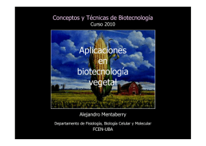 Mentaberry 4 Aplicaciones Agrobiotrecnologia.pdf