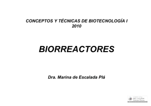 Reactores biológicos 9-2010 Marina.pdf