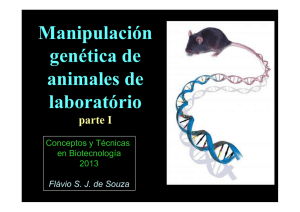 Flavio-SJdeSouza-BiotecAnimal-1.pdf