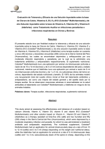 Evaluación de Tolerancia y Eficacia de una Solución Inyectable sobre... de Cloruro de Calcio, Vitamina A, D3, E y B12...