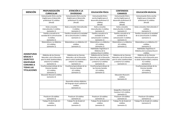 Resumen Asignaturas Para La Titulaci N De Primaria