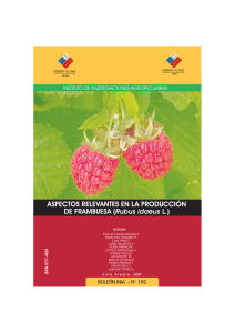 ASPECTOS RELEVANTES EN LA PRODUCCIÓN Rubus idaeus INSTITUTO DE INVESTIGACIONES AGROPECUARIAS Autores: