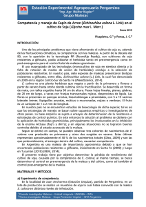 http://www.todoagro.com.ar/documentos/2015/CompetenciaymanejodeCapindeArrozenelcultivodeSoja.pdf