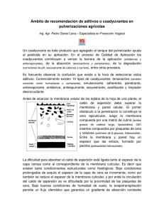 http://www.todoagro.com.ar/documentos/2014/Ambitoderecomendacion.pdf