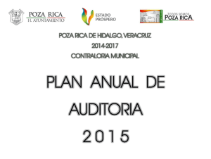 Plan Anual de Auditoria 2015.