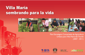 Plan estrategico de agricultura urbana Villa Maria del Triunfo, Lima-Peru