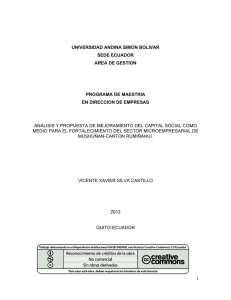 T1145-MBA-Silva-Analisis.pdf