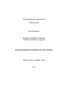 T0958-MDE-Salgado-Excepcionalidad.pdf