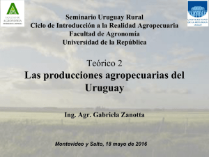 Te rico 2 Las producciones agropecuarias del Uruguay