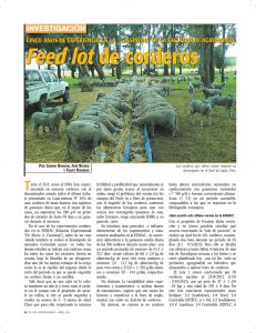 Feed lot de corderos. El Pais Agropecuario 04/2013