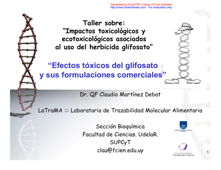 Efectos T Xicos Del Glifosato