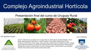 Complejo Agroindustrial Hortícola Presentación final del curso de Uruguay Rural