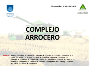 COMPLEJO ARROCERO Montevideo, Junio de 2016.