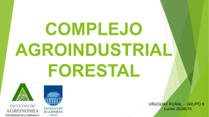 COMPLEJO AGROINDUSTRIAL FORESTAL URUGUAY RURAL – GRUPO 9