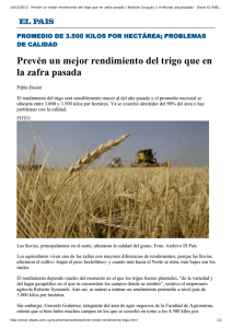Prevén un mejor rendimiento del trigo que en la zafra pasada. El País 14-12-2013