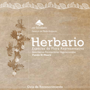 Herbario Digital El Mauro