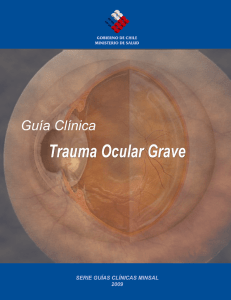 Ir a 50. Guía Clínica Trauma Ocular Grave