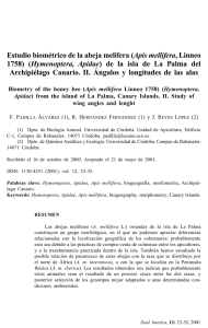 Estudio_biometrico_abeja_melifera_Palma_del_Archipielago_Canario.pdf