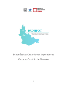 Diagnóstico: Organismos Operadores Oaxaca: Ocotlán de Morelos  1