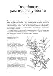 blancolopez4.pdf