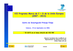 E. Castañeda, "El CDTI en el tema de salud del VII Programa Marco"
