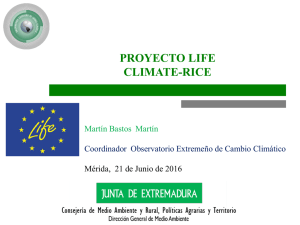 PROYECTO LIFE CLIMATE-RICE Martín Bastos  Martín