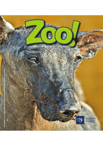 2013_Zoo 4_Presentación.pdf