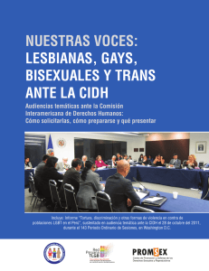 joint report by Peruvian NGOs to the IACHR