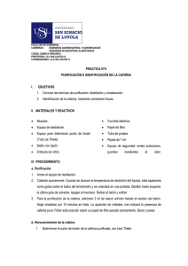2013_Loayza_Química orgánica- Práctica 8- Purificación e identificación de la cafeína.pdf