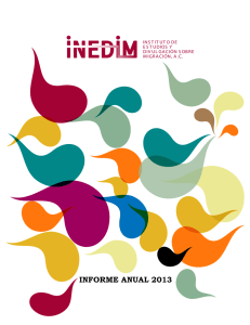 Informe Anual INEDIM 2013