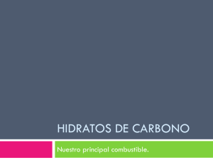 presentacion-Hidratos-de-Carbono