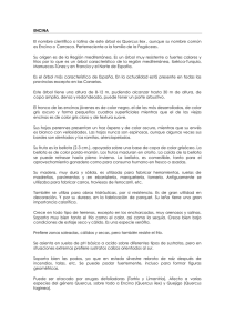 FICHA ENCINA.pdf