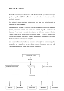 PROCESO DE TRABAJO.pdf
