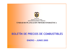 BOLETÍN DE PRECIOS DE COMBUSTIBLES ENERO – JUNIO 2005 U P