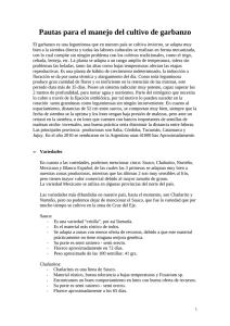 Pautas para el manejo del cultivo de garbanzo..pdf