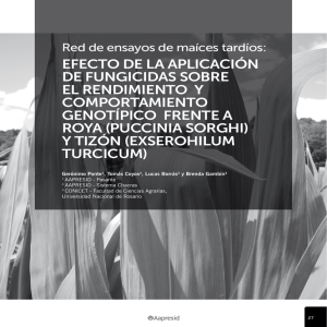 Informe FUNGICIDAS TARDIOS 2015.pdf