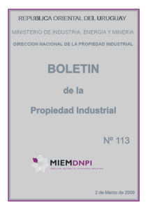 Boletin de la propiedad industrial N° 113