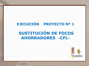 SUSTITUCIÓN DE FOCOS AHORRADORES  -CFL- EJECUCIÓN  PROYECTO Nº 1 8/11/2011