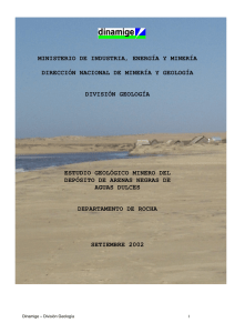 Reporte_Arenas_Negras.pdf