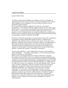 El Sorgo Granifero.pdf