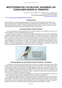 MICOTOXINAS EN LOS SILAJES - HAGAMOS LAS COSAS BIEN DESDE EL PRINCIPIO.pdf